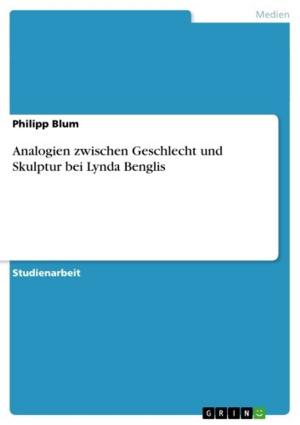 Book cover of Analogien zwischen Geschlecht und Skulptur bei Lynda Benglis