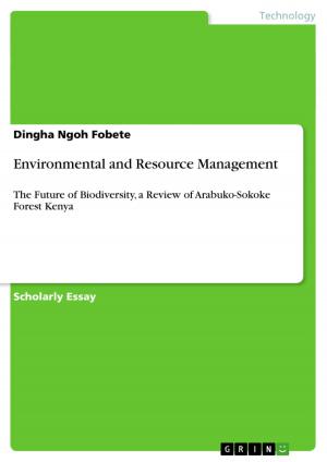 Cover of the book Environmental and Resource Management by Sascha Krüger