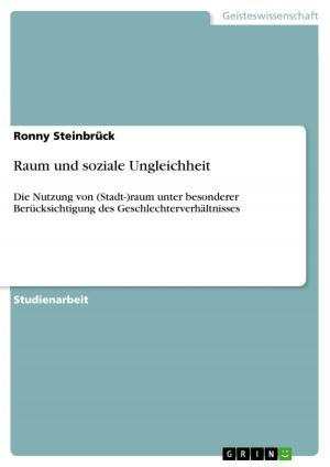 Cover of the book Raum und soziale Ungleichheit by Benjamin Wegener