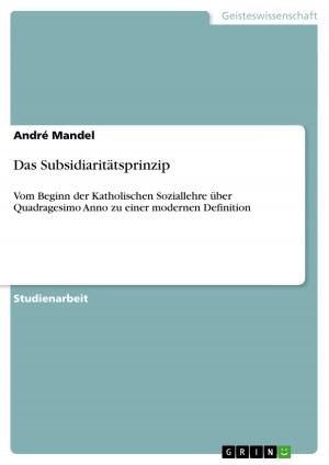 Cover of the book Das Subsidiaritätsprinzip by Melissa Naase