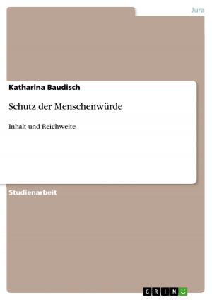 Cover of the book Schutz der Menschenwürde by Alexander Fricke