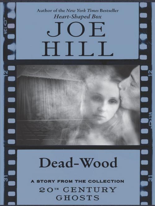 Cover of the book Dead-Wood by Joe Hill, William Morrow