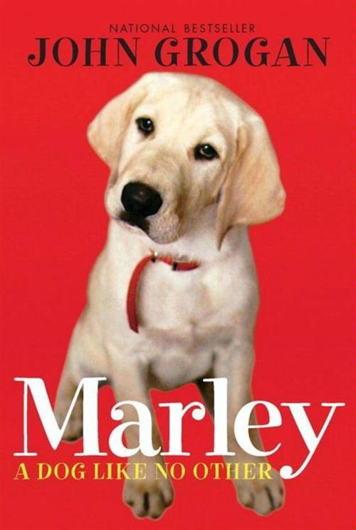 Cover of the book Marley by John Grogan, HarperFestival