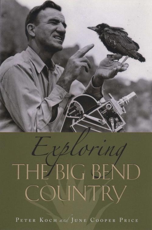 Cover of the book Exploring the Big Bend Country by Peter Koch, June Cooper Price, University of Texas Press