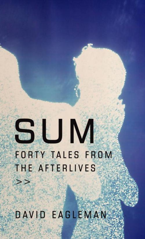 Cover of the book Sum by David Eagleman, Knopf Doubleday Publishing Group