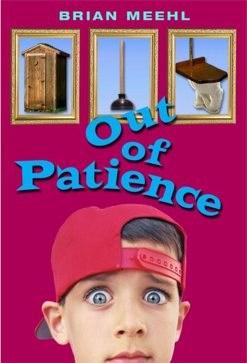 Cover of the book Out of Patience by Brian Meehl, Random House Children's Books