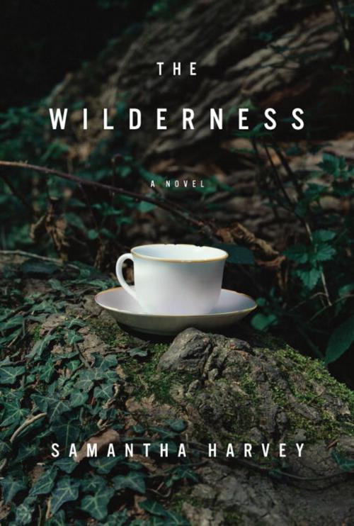 Cover of the book The Wilderness by Samantha Harvey, Knopf Doubleday Publishing Group