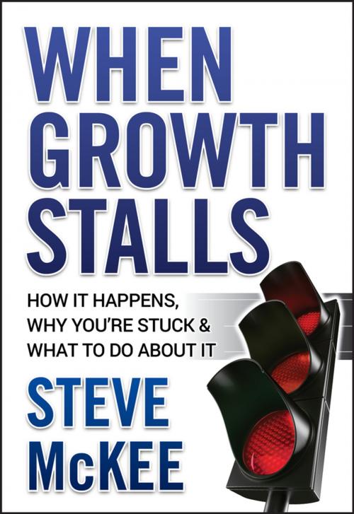 Cover of the book When Growth Stalls by Steve McKee, Wiley
