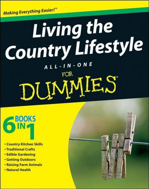 Cover of the book Living the Country Lifestyle All-In-One For Dummies by Tracy Barr, Wiley