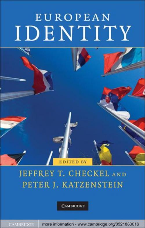 Cover of the book European Identity by , Cambridge University Press
