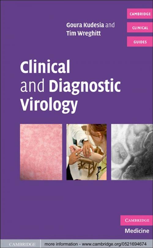 Cover of the book Clinical and Diagnostic Virology by Goura Kudesia, Tim Wreghitt, Cambridge University Press