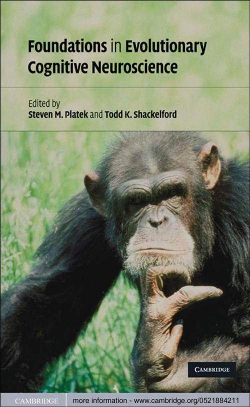 Cover of the book Foundations in Evolutionary Cognitive Neuroscience by , Cambridge University Press