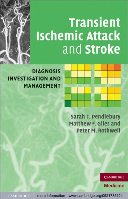 Cover of the book Transient Ischemic Attack and Stroke by Sarah T. Pendlebury, Matthew F. Giles, Peter M. Rothwell, Cambridge University Press