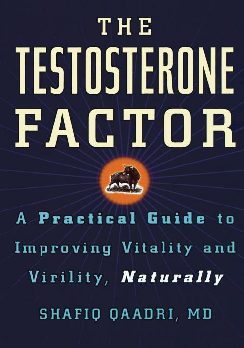 Cover of the book The Testosterone Factor by Shafiq Qaadri, Hachette Books