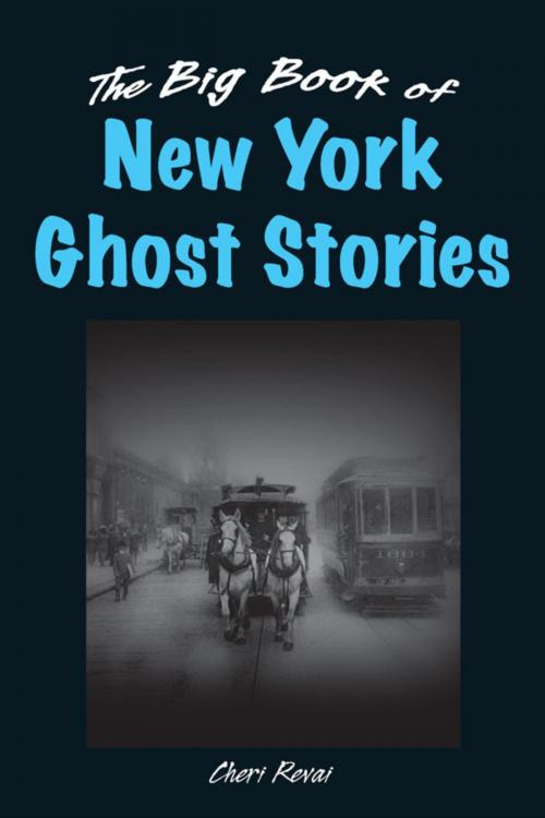 Cover of the book The Big Book of New York Ghost Stories by Cheri Farnsworth, Stackpole Books