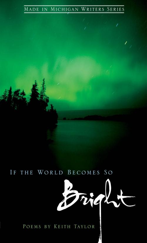 Cover of the book If the World Becomes So Bright by Keith Taylor, Wayne State University Press