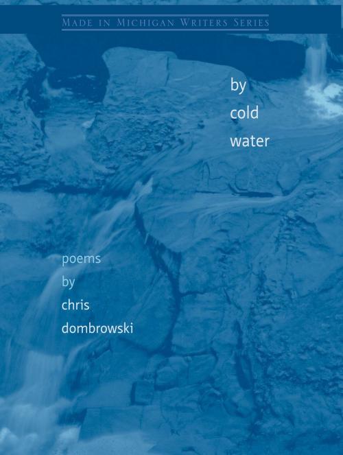 Cover of the book By Cold Water by Christopher Dombrowski, Wayne State University Press