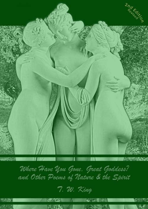 Cover of the book Where Have You Gone, Great Goddess? and Other Poems of Nature & the Spirit (Second Edition, Revised) by T. W. King, T. W. King