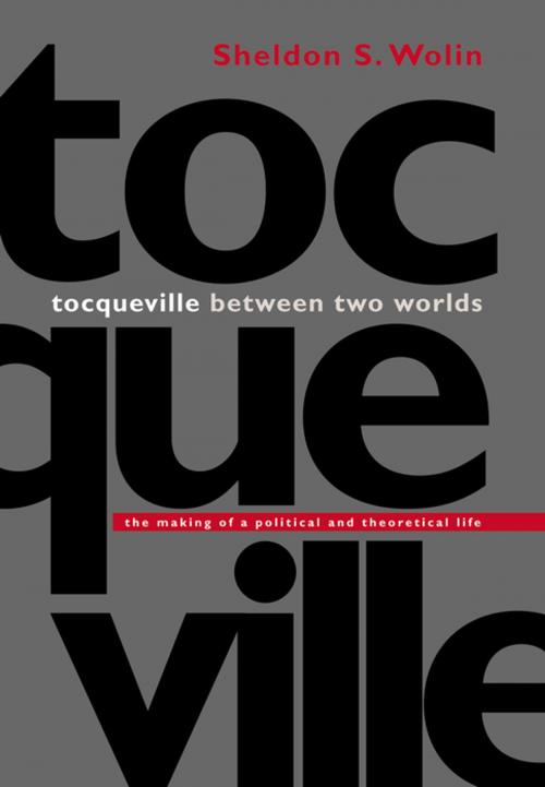 Cover of the book Tocqueville between Two Worlds by Sheldon S. Wolin, Princeton University Press