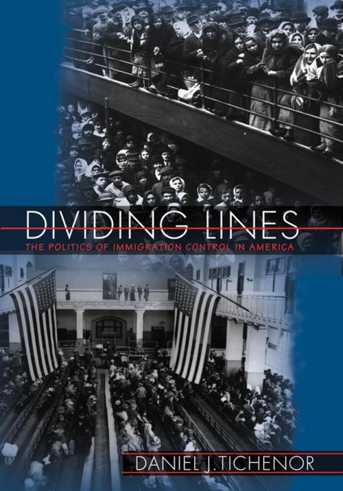 Cover of the book Dividing Lines by Daniel J. Tichenor, Princeton University Press