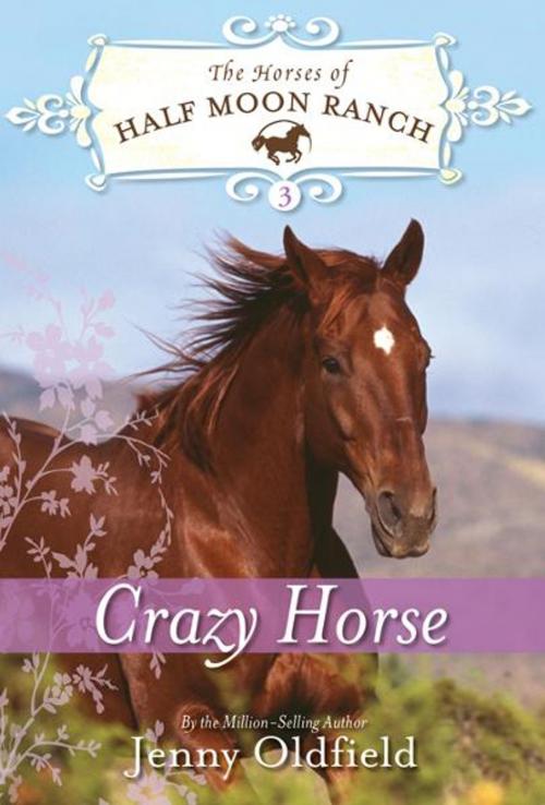 Cover of the book Crazy Horse by Jenny Oldfield, Sourcebooks