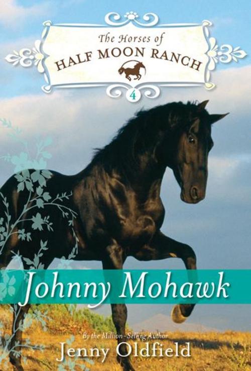 Cover of the book Johnny Mohawk by Jenny Oldfield, Sourcebooks