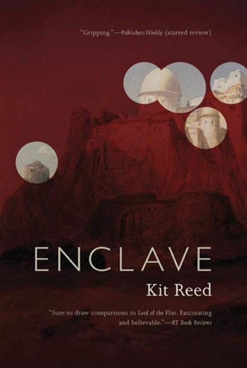 Cover of the book Enclave by Kit Reed, Tom Doherty Associates