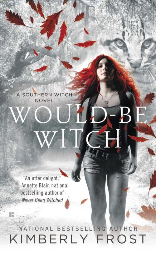 Cover of the book Would-Be Witch by Kimberly Frost, Penguin Publishing Group