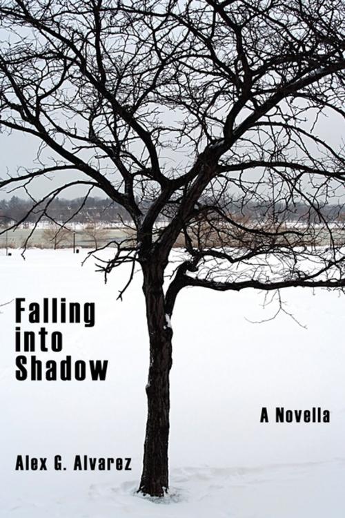Cover of the book Falling into Shadow by Alex G. Alvarez, AuthorHouse