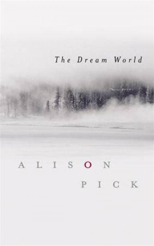 Cover of the book The Dream World by Alison Pick, McClelland & Stewart