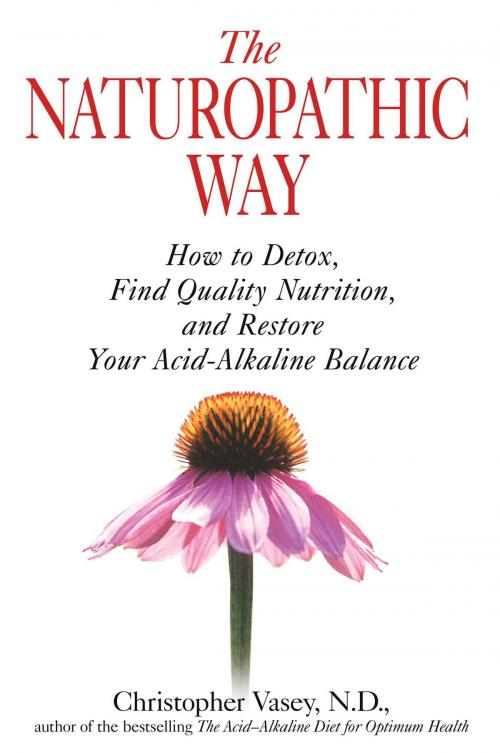 Cover of the book The Naturopathic Way by Christopher Vasey, N.D., Inner Traditions/Bear & Company
