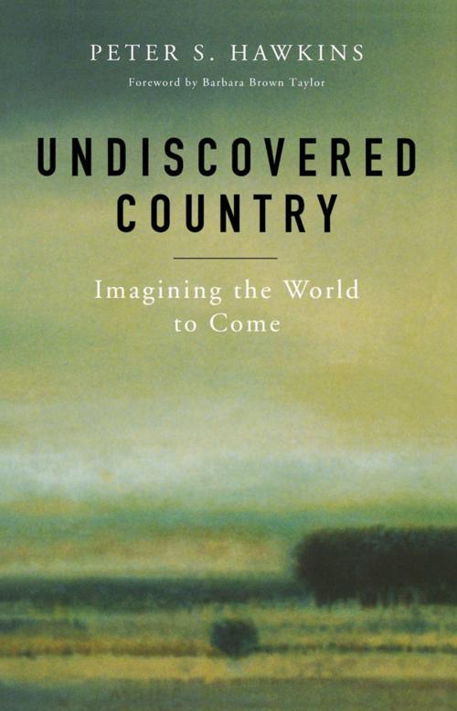 Cover of the book Undiscovered Country by Peter S. Hawkins, Church Publishing Inc.