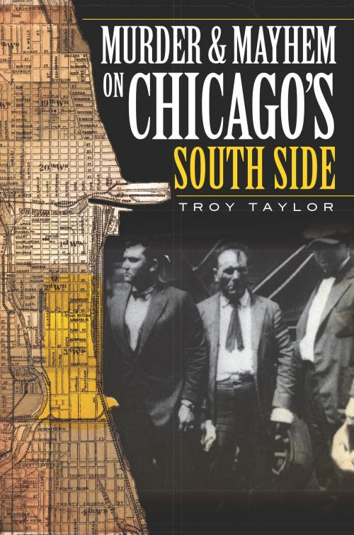 Cover of the book Murder and Mayhem on Chicago's South Side by Troy Taylor, Arcadia Publishing Inc.