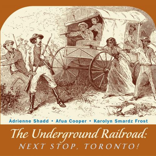 Cover of the book The Underground Railroad by Adrienne Shadd, Afua Cooper, Karolyn Smardz Frost, Dundurn