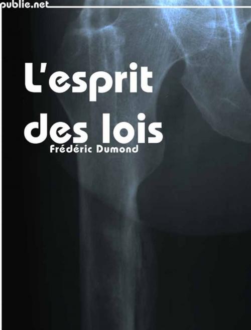 Cover of the book L'Esprit des lois by Frédéric Dumond, publie.net