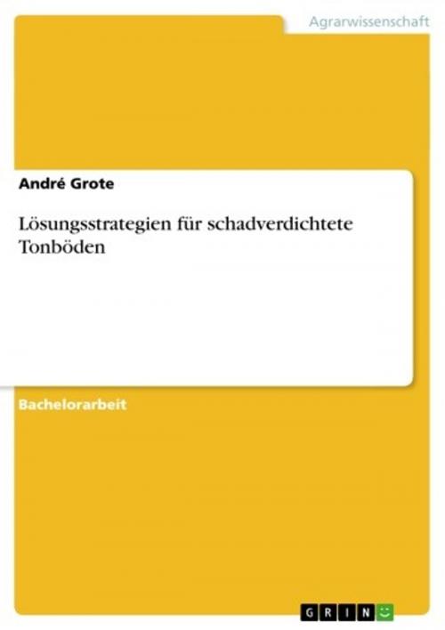 Cover of the book Lösungsstrategien für schadverdichtete Tonböden by André Grote, GRIN Verlag