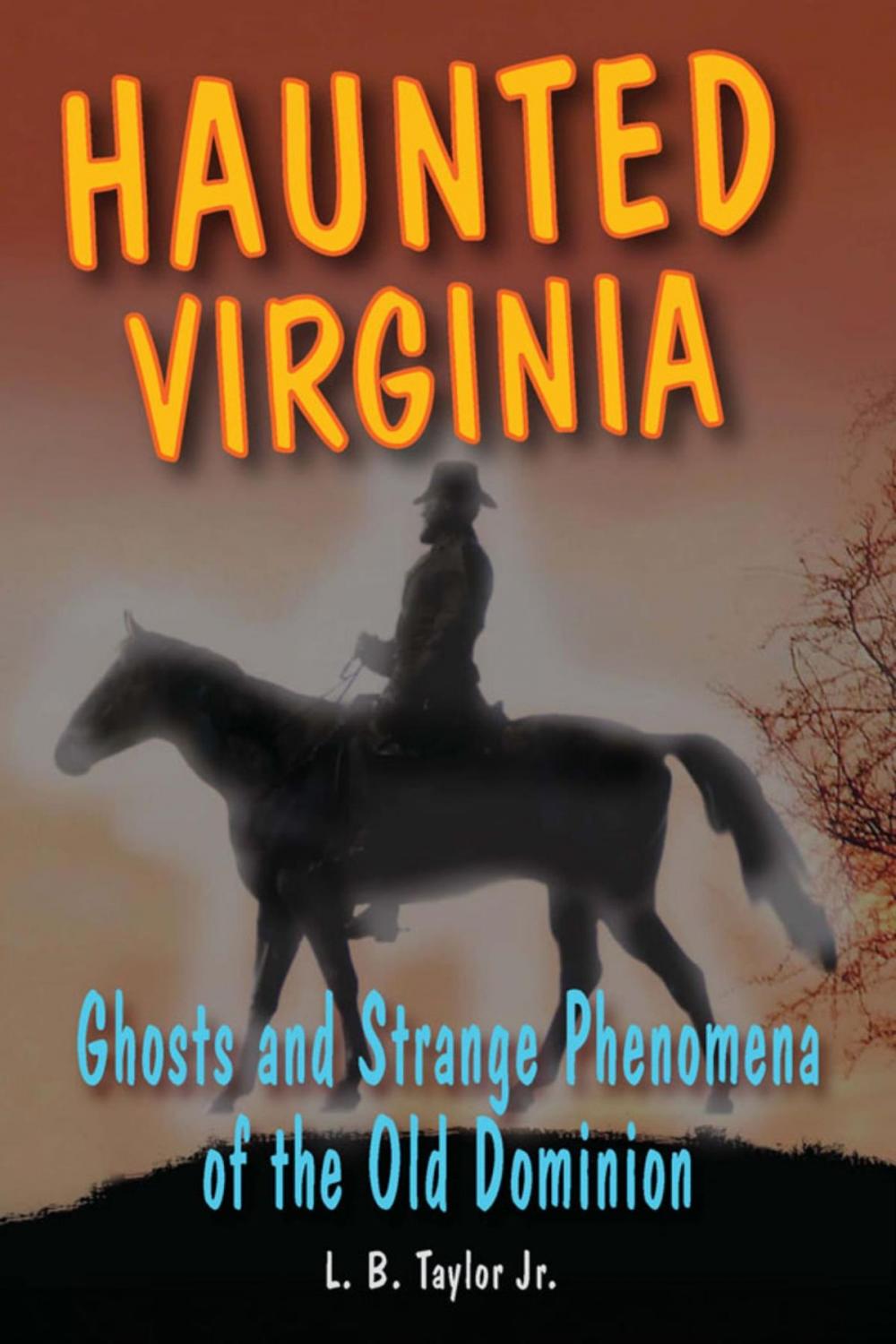 Big bigCover of Haunted Virginia