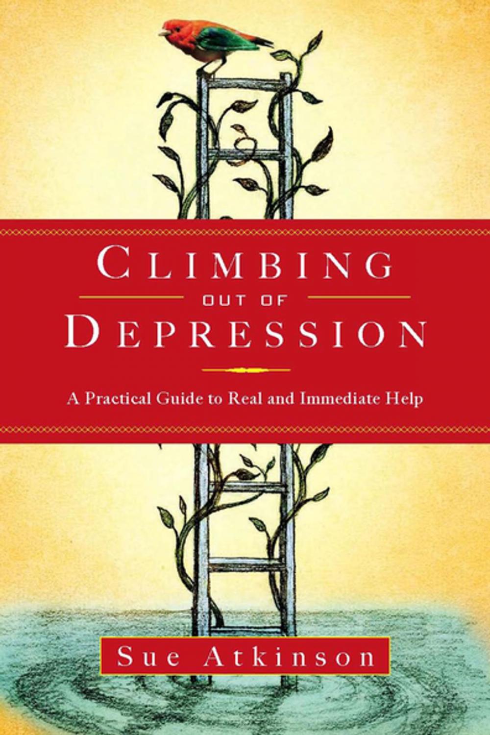 Big bigCover of Climbing Out of Depression