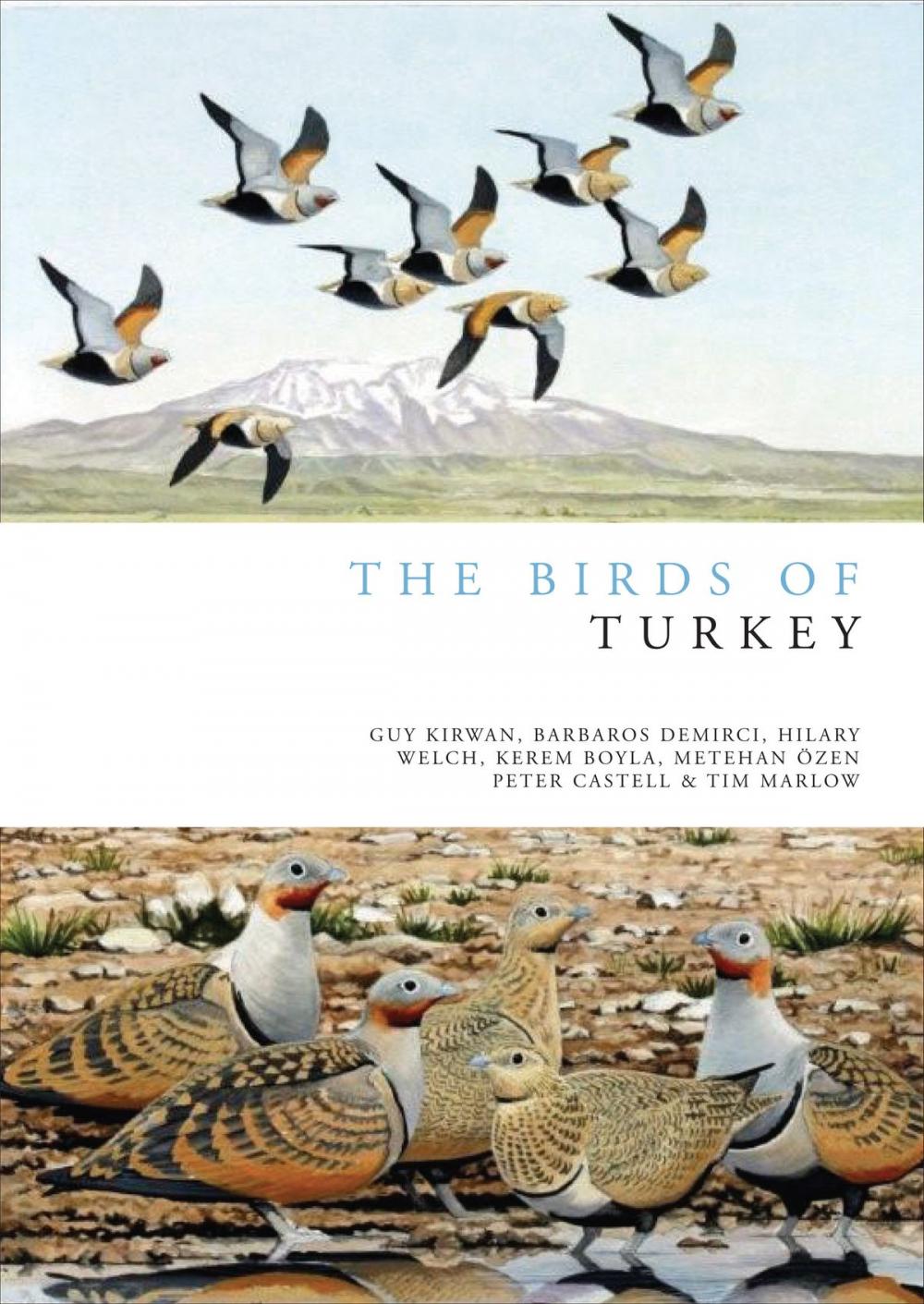 Big bigCover of The Birds of Turkey