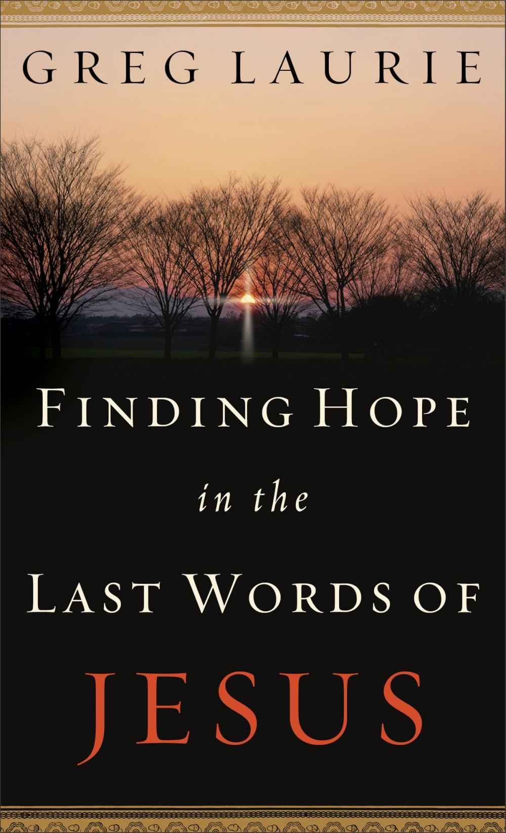 Big bigCover of Finding Hope in the Last Words of Jesus