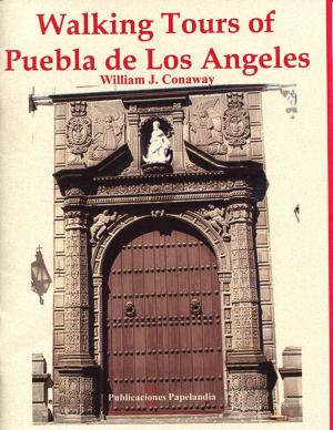 Book cover of Walking Tours of Puebla, de Los Angeles