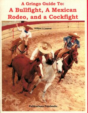 Book cover of A Gringo Guide to: A Bullfight, A Mexican Rodeo, and a Cockfight