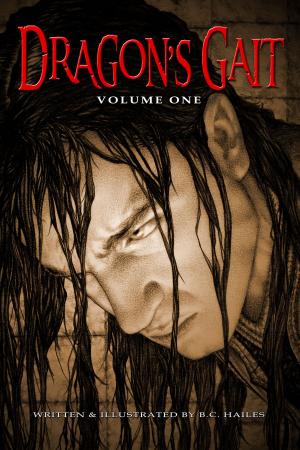 Cover of the book Dragon's Gait: Volume One by Anna Steffl