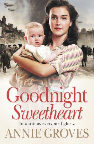 Book cover of Goodnight Sweetheart