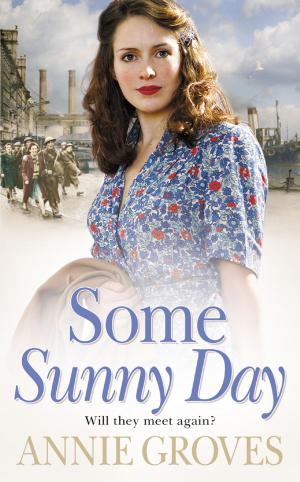 Cover of the book Some Sunny Day by Joanna Hall