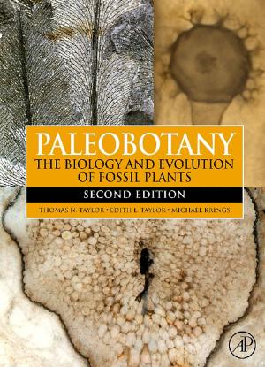 Book cover of Paleobotany