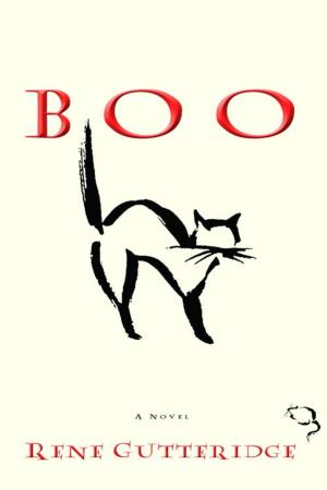 Cover of the book Boo by Kathleen Kelly Reardon, Ph.D.