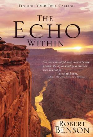 Cover of the book The Echo Within by Matthew Paul Turner