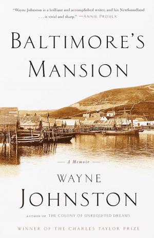 Cover of the book Baltimore's Mansion by Stephen Harrigan