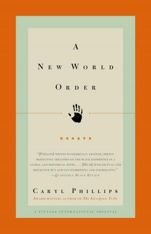 Cover of the book A New World Order by Lars Kepler